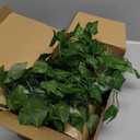 1 Set Jungle Theme Party Decoration Vine for Room Decor Safari Rainforest Leaf with 98 ft Kraft Paper Artificial Ivy Greenery Garland Fake Tropical Palm Leaf Garden Indoor Classroom (Classic)