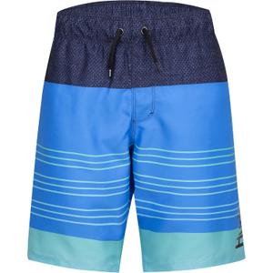Hurley Boys' Pull on Swim Trunks (Small, Neptune Blue/Striped)
