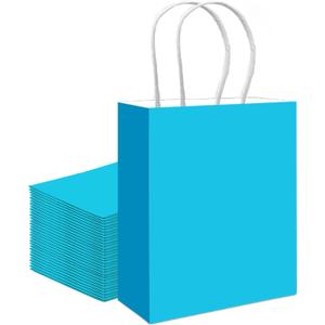 Qiqee 30PCS Medium Gift Bag with Handles Bulk 11"x5"x8" Gift Bags Lake Blue Bags Multiple Uses (Medium Size)
