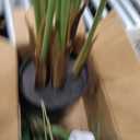 4ft Artificial Palm Tree Indoor Plant Tall Fake Tropical Paradise Palm Tree in Pot with Real Bark Design Faux Areca Palm Tree for Home Office Living Room Bedroom Farmhouse Modern Decor 1pcs