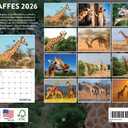 Giraffe Calendar 2026 Monthly Wall Calender 12 Month | American Made In The USA