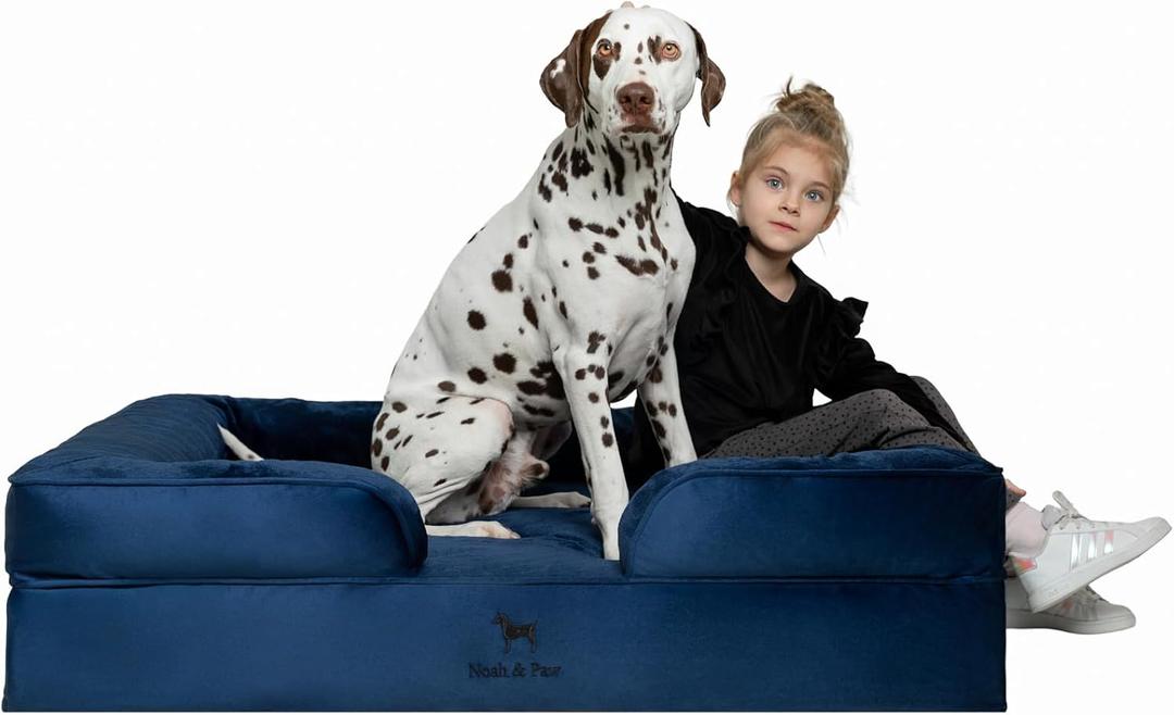 NOAH & PAW XL Dog Bed, 45x35x11 Inch, Orthopedic Large Dog Beds, Eggshell Memory Foam Infused with Cooling Gel, Inner Cover, Water Resistant, Machine Washable (Velvet Sofa Collection)