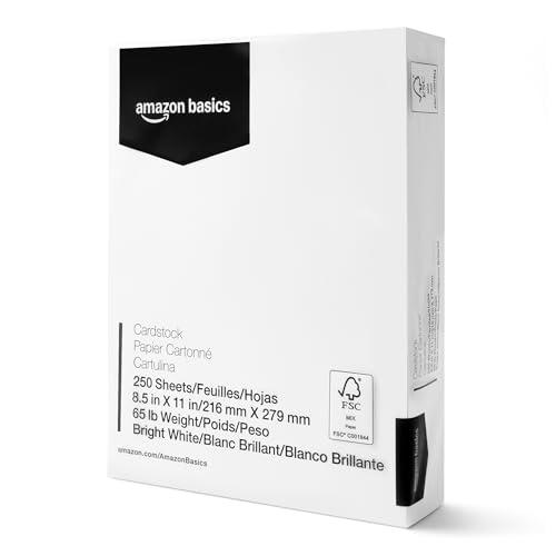 Amazon Basics Cardstock Paper, 8.5" x 11", 65 lb/176 gsm, 96 Bright White, 250 Sheets