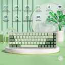 BOYI WK68 65% Tri-Mode RGB Mechanical Keyboard,Gasket Mounted Hot Swappable Bluetooth 5.0/2.4GHz/Type-C Wired Matcha PBT Keycaps Compact Mini Gaming Keyboard(Gateron Red Switch)