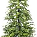 7Ft Artificial Norfolk Pine Trees, Real Touch Faux Cedar Topiary Slim Christmas Tree Large Indoor Outdoor Fake Evergreen Plants for Outdoor & Indoor Use Holiday Christmas Decor
