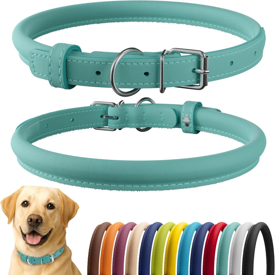 CollarDirect Rolled Leather Dog Collar, Soft Padded Round Puppy Collar, Handmade Genuine Leather Collar Dog Cat Collars 13 Colors (18-22 Inch, Mint Green Smooth)