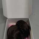 HANYUDIE Space Buns Hair Pieces 2PCS Claw Clip in Hair Bun Mini Bun Hair Scrunchies Extension for Women Girls 6# (Dark Brown)