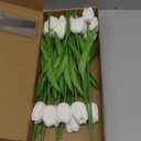 20pcs White Tulips Artificial Flowers 13 Inch Real Touch PU Fake Flowers Fake Tulips for Mother's Day Easter in Home Wedding Office Party Table Decoration