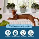 Flea Collar for Cats, Cat Flea Collar, Kitten Flea Collar, Flea and Tick Collars for Cats, Adjustable Cat Tick Collar with 8 Months Protection-2 Packs