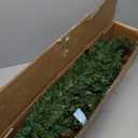 5-ft Green Full Artificial Christmas Tree with Metal Stand