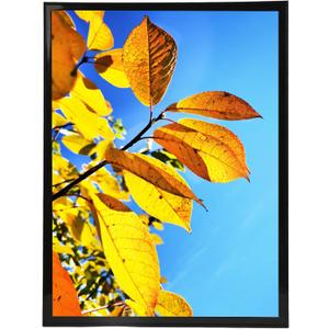Aynoo 20x30 Poster Frame, Studio Gallery 20x30 Picture Frames, Wall Collage Photo Frame,Black