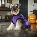 Halloween Dog Sweater Puppy Spooky Spider & Bat Patterns Outfit Knitwear Pullover Warm Pet Sweater for Small Middle Large Dog 4XL