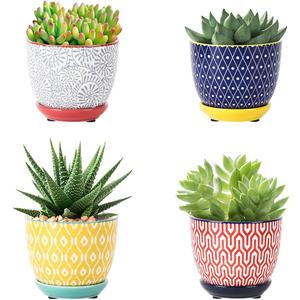 Selamica Ceramic Succulent Pots with Drainage Holes, Small Flower Pots 3.5 Inch Plant Pots for Indoor Plants with Saucers, Cactus Succulent, Home Decor, Set of 4, Assorted Colors