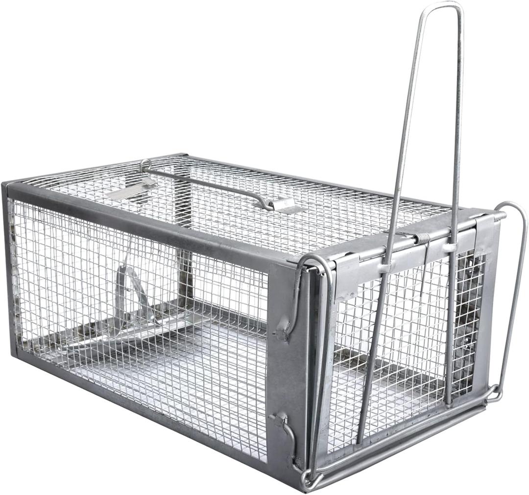 Gingbau Rat Trap Humane Live Mouse Chipmunk Trap Cage (Not for Squirrels) (Medium)