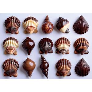 Seashell 1000 Piece Puzzle for Adults, Fun Puzzles with HD Print Poster, 27.5" X 19.7" Dust Free, for Gifts Birthday Holiday Party Family Games Lovers