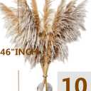 Natural Pampas Grass Decor Tall, Pompas Grass, Tall Pampas Grass for Weddingm, Farmhouse, Boho Home Decor (Brown), 10 Pc