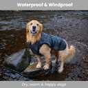 Self-Heating Thermal Insulated Dog Coat - Waterproof Winter Jacket for Dogs - Lightweight Non-Bulky Fit, Easy On/Off Clip, Hair-Free Lining (M)