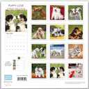 3 x 2026 Puppy Love Hangable Wall Calendar - 12" Full Page Months Dog Cute Funny Puppy Dogs Photography - Organizing & Planning (2026 Puppy Love)