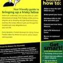 Kittens For Dummies