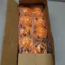 BRIGHTDECK Halloween Pumpkin Stake Lights, Set of 10 Decorative Solar Pumpkin Lights, Waterproof Halloween Decorations for Outdoor Garden and Yard (Pumpkin)