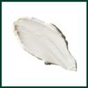 Aveda Light Elements Texturizing Creme | Hair Styling Wax | Light Hold | for All Hair Types, 2.5 Fl Oz