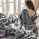 Bedsure Frost Gray Fleece Blanket for Couch - GentleSoft Cozy Soft Blankets for Women, Cute Small Throws for Girls, 60x80 Inches
