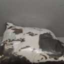 Bedfolks Waterproof Crate Bed, Plush Dog Kennel Pad with Removable Washable Cover, Faux Fur, Fluffy 35"x23", Cow Print