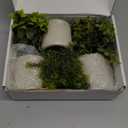 Der Rose 3 Pack Mini Potted Fake Plants Artificial Plastic Eucalyptus Plants Topiaries for Home Office Desk Farmhouse Shelf Room Bathroom Decor(Green)