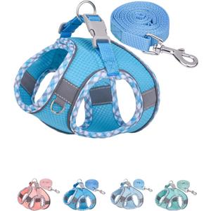 Petank Dog Harness No Pull, Puppy Harness and Leash Set, Step in Dog Harness for Walking, Running, Training, Small Dog Vest(Bule, XXS)