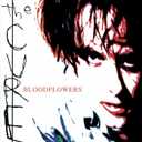 Bloodflowers, Audio CD