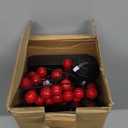 Realspring 2 Pcs Chinese New Year Decorations 2026 Lighted Lunar New Year Tree 24 LED Lighted Mini Birch Chinese Tree Lunar Table Decoration Centerpiece Red Festival Money Decor Operated by Battery