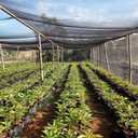 40% Shade Cloth for Plants, 14X20Ft Greenhouse Shade Cloth, Plant Shade Cover from Sun, Outdoor Mesh Tarp for Garden, Vegetables, Flowers, Potted Plants Heat Protection. (1420FT)