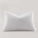 Globon Ultra Soft Down Pillow Queen Size, All Down Filled Bed Pillow for Sleeping, 100% Cotton Shell 500 Thread Count 700 Fill Power, Soft Hotel Collection Down Feather Pillow 20" x 30" 1 Pack