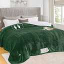 Green Electric Heated Blanket, Size 84*90