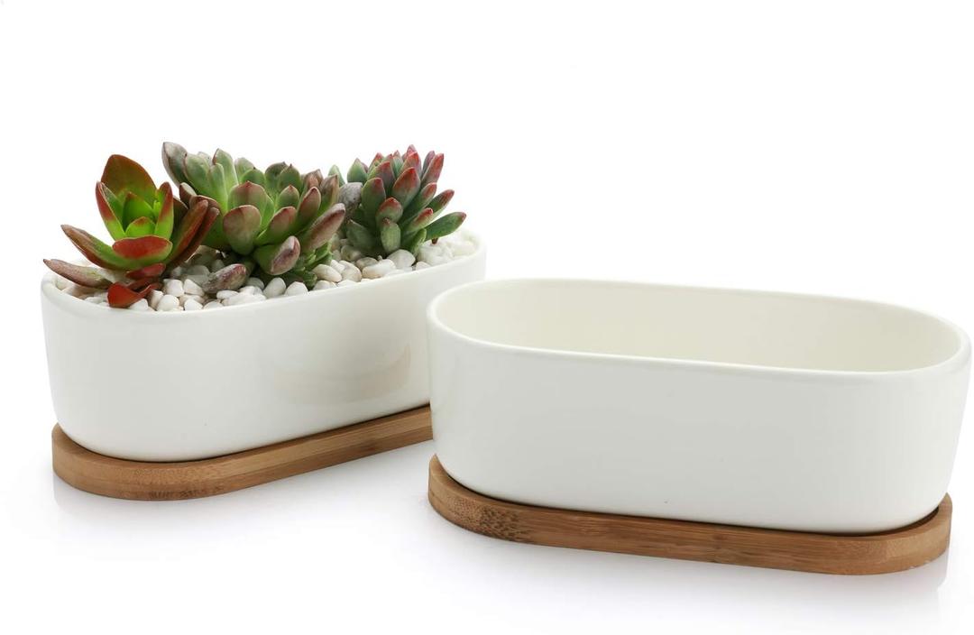 T4U Small White Succulent Planter Pots with Bamboo Tray Set of 2, Oval Cactus Plant Holder Container for Home Office Table Desk Decoration for Mom Aunt Sister Daughter Gardener