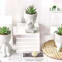 Der Rose 3pcs Fake Succulents Plants Artificial for Bathroom Bedroom Home Room Decor Aesthetic Indoor