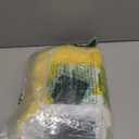 Feidoog Baby Head Protector Cushion Backpack with 3 Knee Pads for Walking & Crawling,Bee