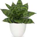 Hollyone Artificial Snake Plants 9" Faux Agave Succulent Plant Potted in White Pot Fake Sansevieria Aloe Tropical Plant for Desk Modern Office Home Bathroom Indoor Outdoor Decor