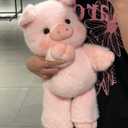 Running Plushies, 17.7" Cute Running Pig Stuffed Animal for Kids 3+, 17.7in