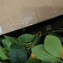 Jexine 2 Pack Artificial Lemon Tree 3 ft Tall Fake Plant Pre Potted Faux Lemon Tree Realistic Fruits for Indoor Home Decor Office Living Room