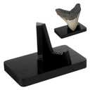 Megalodon Tooth Display Wooden Shark Tooth Display Case Black Shark Teeth Holder for Teeth, Agate, Coral, Rocks, Pottery, Artworks or Photos, 5" x 3" x 2.5" Tall