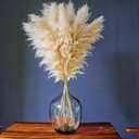 10 Stems 46" inch Dried Pampas Grass Decor Tall, Large Pompas Grass, Boho Neutral Home Decor Bouquet, Fluffy Pampass Grass for Floor Vase Wedding Floral Arrangements Wall Farmhouse Table Decor