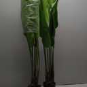 Enova Floral Artificial Bird of Paradise Tree in Plastic Nursery Pot, Faux Plants with Leaves, Artificial Trees for Office House Living Room Home Decor Indoor (48 inches) (4ft)