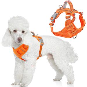 BARKBAY Dog Harness No Pull with ID Tag Pocket - Heavy Duty, Reflective, Easy Control for Large Dogs(Orange,S) (Small(Chest:19.5-26))
