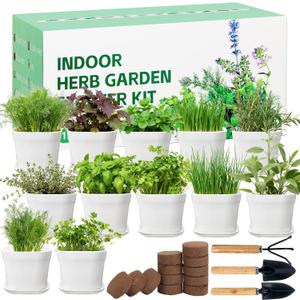 12 Herb Garden Kit Indoor - 42 Pcs Complete Kitchen Window Herbs Seeds Growing Starter Set Kit Gardening Gift Birthday Housewarming Christmas Gift for Women Her Mom Men Home Chefs Gardener Beginner