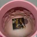 GUGUGO 8 Inch Flower Plant Pots, Cute Unique Rainbow Planter with Drainage, Flower pots, Colorful Vintage Retro Flower Pots, Succulent Pots for Indoor Plants, Eclectic Funny Room Decor Aesthetic-D