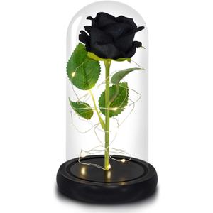 QUELIEN Preserved Black Rose,Light Up Rose in Glass Dome,Rose Flower Presents for Birthday,Mother's Day,Anniversary
