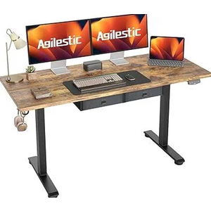 Agilestic Electric Standing Desk, 48 x 24 Inches Height Adjustable Desk, Sit Stand up for Work Office Home, Ergonomic Rising Computer Table with Memory Preset, Rustic Brown