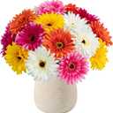 20 Pcs Fake Silk Gerbera Daisy Artificial Flowers with Stems Faux Daisies Flower Bulk for DIY Art Crafts Home Wedding Party Vase Centerpieces Tables Garland Wreath Decoration (Multi Color)