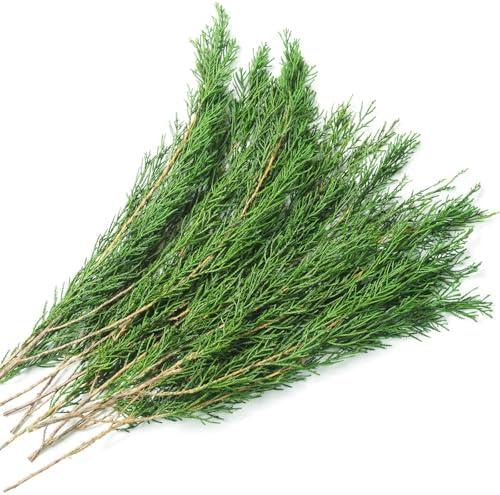 Preserved Real Pine Leaves Branches, 17'' Natural Pine Needles Green Plants, 3.5OZ Greenery Twigs Stems, Evergreen Picks for Christmas Garland Wreath Home Wedding Decor Floral Arrangements